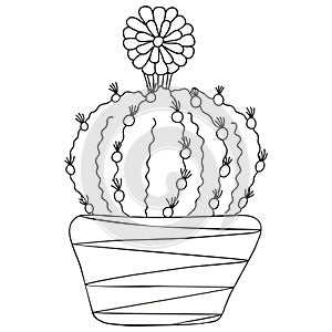 Stylized black and white Astrophytum ornatum cactus with a blossoming flower in a pot. Isolated doodle. Indoor succulent. photo