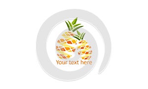 Creative Geometric Pineapple gold icon