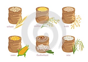 Set of different cereal grains in bags isolated on a white background.