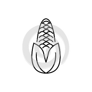 Corn line icon. isolated on white background.