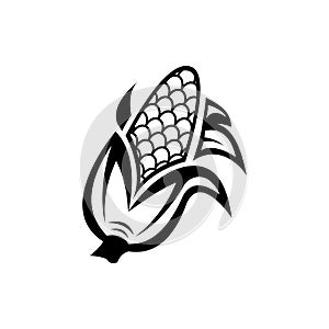 Corn icon. isolated on white background.