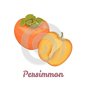 Persimmon whole and half isolated on white. Vector illustration of tropical fruit.