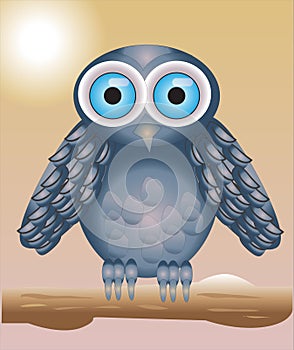 Cute and Funny Owl on a Branch