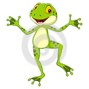 Cartoon funny frog posing on white background