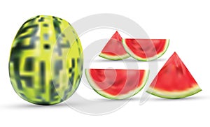 3d vector water melons Illsutration, eps 10. photo