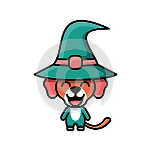 Cute dog standing in hat