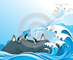 Penguins on rocky outcrop photo