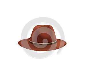 Brown fedora hat