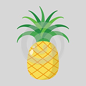 Pinapple flat vector illustration isolated on background