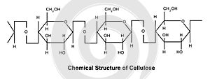 Chemical Structure of Cellulose. photo
