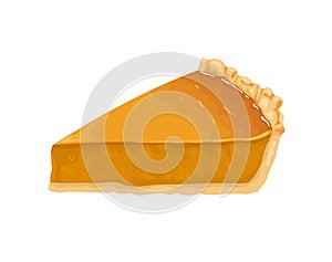 Pumpkin pie slice isolated on white background. Vector illustration of fresh baked