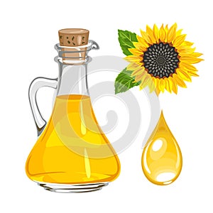 Sunflower seed oil in glass bottle and drop isolated on white. Vector illustration.