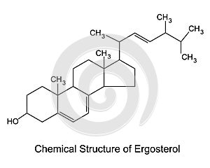 Chemical Structure of Ergosterol.