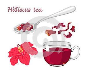 Hibiscus tea set. Red flower, dried leaves in spoon, glass cup with  drink