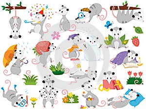 Possum clipart set