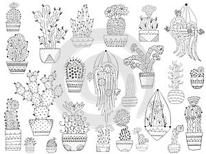 Set of black and white stylized cacti in patterned pots. Outline doodles in Scandinavian style. Botanical clip art of isolated suc