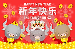 Happy Chinese new year 2021 greeting card. Little ox and Chinese gold ingot with lion dance and firecracker, year of the ox zodiac
