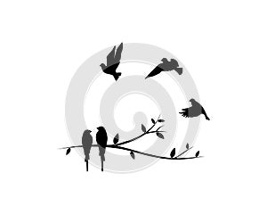 Birds couple silhouette on a branch and flying birds flock, vector. Birds in love, illustration. Wall decals, art decoration