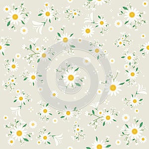 Seamless daisy floral pattern, Beautiful daisy floral, bloomy plant grass decor, illustration, Vector photo