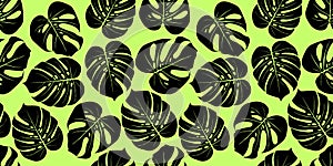 Monstera tropical leaf vector illustration. Seamless pattern
