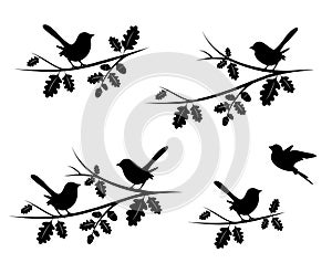 Birds Couple Silhouette on Branch Vector, Birds in love Silhouette, Wall Decals, Couple of Birds in Love, Art Decoration