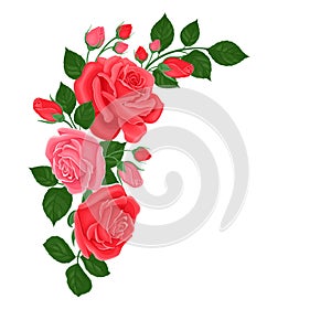 Pink and red roses angled frame. Vector floral corner, border.