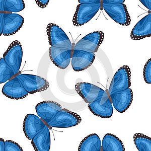 Blue butterflies seamless pattern. Vector illustration of flying insects