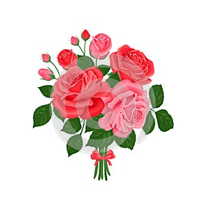 Red and pink roses bouquet isolated on white background. Vector illustration of beautiful flowers