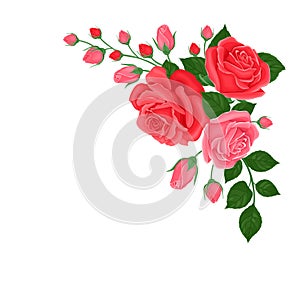 Bouquet of pink and red roses. Corner element for decoration of greeting card, banner.
