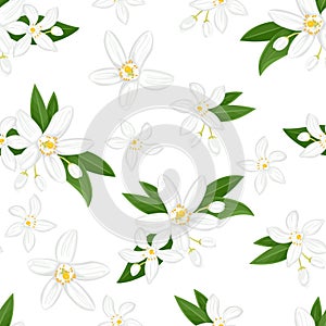 Seamless pattern with orange flowers. Blooming neroli. Floral background.