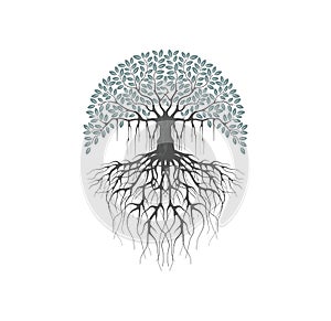 Printable banyan tree image vector isolated photo