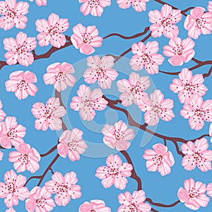 Blooming cherry on blue seamless pattern. Vector illustration of branches and pink sakura flowers