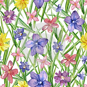 Set of vector frames with spring flowers. Collection of borders with blue flowers of different colors for your design.