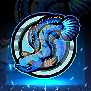Channa fish mascot. esport logo design