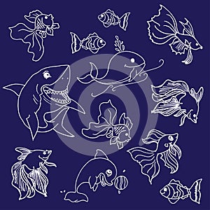 Set of animal sea isolated on dark blue background. white outline, hand drawn vector. shark, whale, dolphin, nemo, fish. wildlife