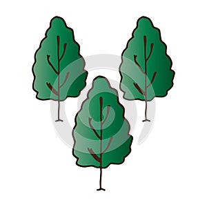 Set of trees on white background. green leaves. fthree trees, nature concept. landscape icon. park, forest icon. hand drawn vector