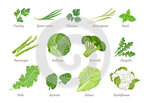 Set of green vegetables, salad leaves and herbs isolated on white.
