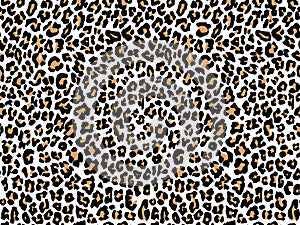Leopard pattern texture repeating seamless white yellow orange black fur skin