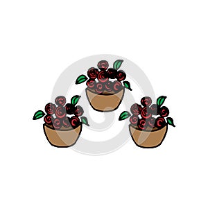 Three flowerpot icon on white background. red flower with green leaf in the brown pot. houseplant illustration. hand drawn vector.