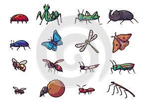 Set of different insect Premium Vector