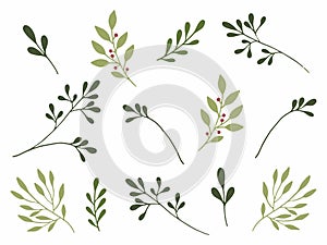 Hand drawn watercolor illustration. Botanical clipart with branches and leaves. Greenery. Floral Design elements. Perfect for wedd