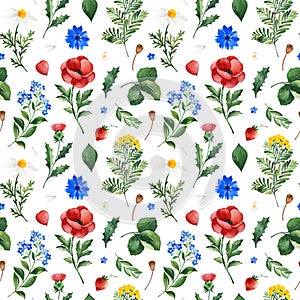 Watercolor Summer collection with leaves,daisies flowers,poppy,cornflower, berry,branches