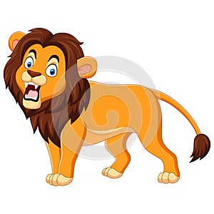 Cartoon lion roaring isolated on white background