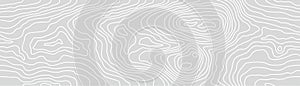 Seamless wooden gray monochrome pattern. Wood grain texture. Dense lines. Abstract white striped background. Vector