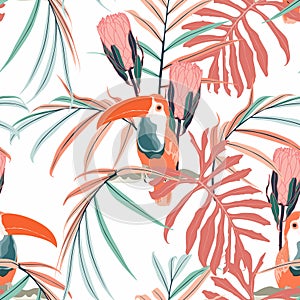 Toucans, coral protea flowers, palm leaves, white background. Floral seamless pattern.