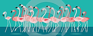 Pink beautiful Flamingo, flock of birds Cartoon vector illustration, horizontal banner.