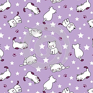 sweet Cats with stars pattern