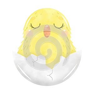 Hand drawn cute Easter chick isolated on white background.