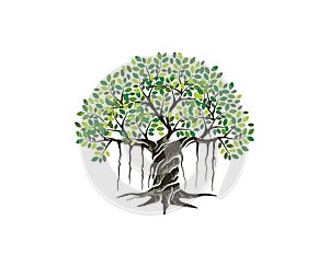 Banyan tree logo illustration photo