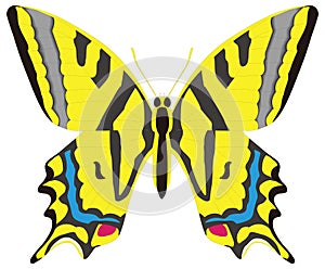 yellow swallowtail butterfly insect vector illustration transparent background